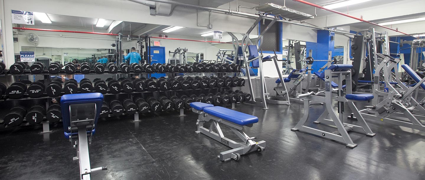 Greenpoint YMCA, gym, pool, and much more in Brooklyn New York City's