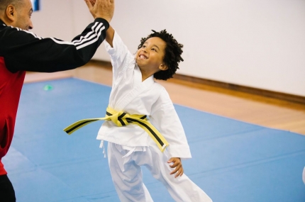 Karate Program
