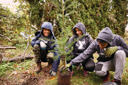Teens volunteer tree planting
