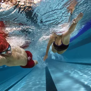 Adult Swimmers 