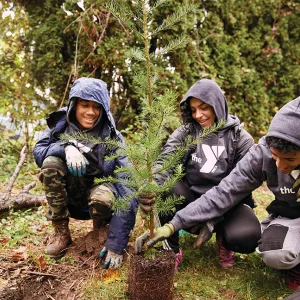 Teens volunteer tree planting