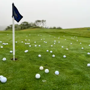 harlem_golf_outing