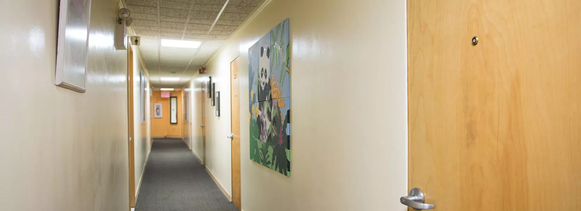 Hallway of Flushing YMCA guest rooms