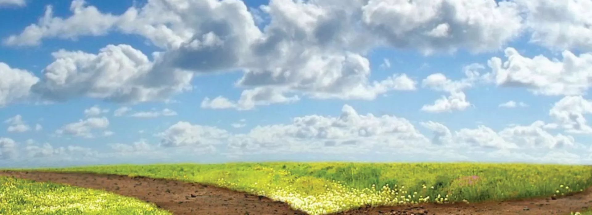 Bright blue sky with fluffy clouds and a field of green with a dirt path