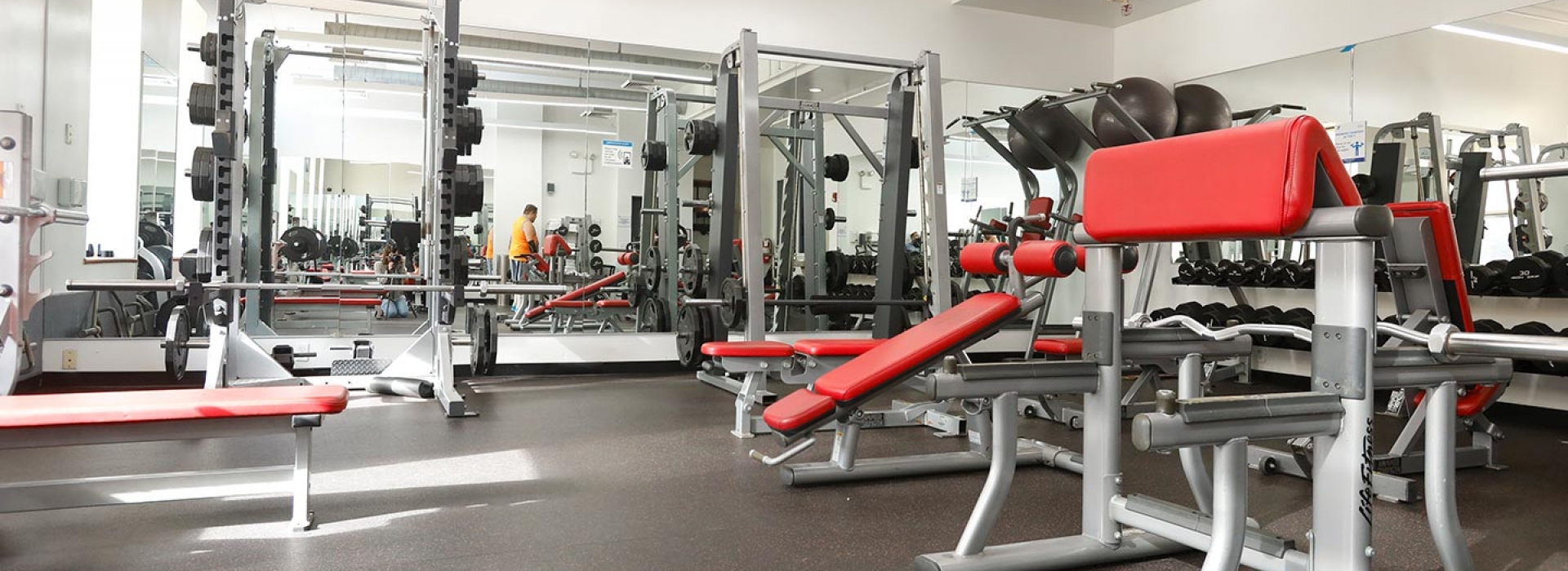 About Prospect Park YMCA YMCA OF GREATER NEW YORK